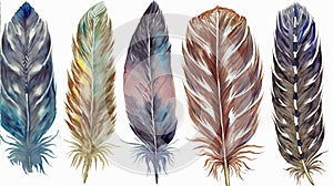 Hand drawn watercolor feather set. Boho style. illustration isolated on white background, soft color, generative Ai