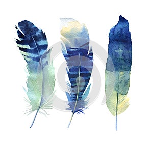 Hand drawn watercolor feather set. Boho style. illustration isolated on white. Design for T-shirt, invitation, wedding card.