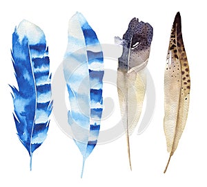 Hand drawn watercolor feather set. Boho style. illustration isolated on white. Design for T-shirt, invitation, wedding card.