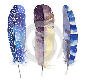 Hand drawn watercolor feather set. Boho style. illustration isolated on white. Design for T-shirt, invitation, wedding card.