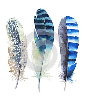 Hand drawn watercolor feather set. Boho style. illustration isolated on white. Design for T-shirt, invitation, wedding card.