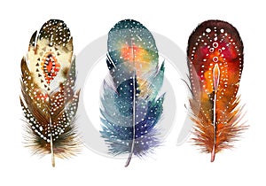 Hand drawn watercolor feather set. Boho style