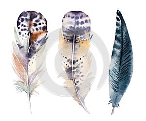 Hand drawn watercolor feather set, raster