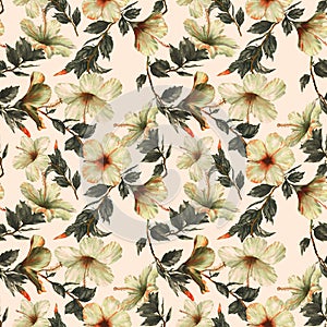 Hand-drawn watercolor floral seamless pattern with the tender white hibiscus flowers