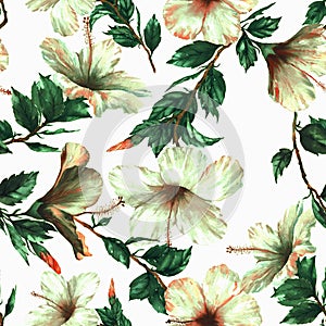 Hand-drawn watercolor floral seamless pattern with the tender white hibiscus flowers