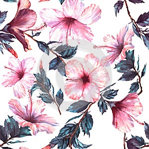 Hand-drawn watercolor floral seamless pattern with the tender white and pink hibiscus flowers