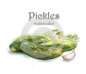 Hand-drawn watercolor food illustration