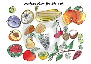 Hand Drawn watercolor fruits set.