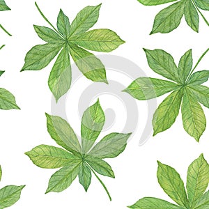 Hand drawn watercolor green autumn chestnut leaves, seamless pattern on the white background, seasonal watercolor illustration