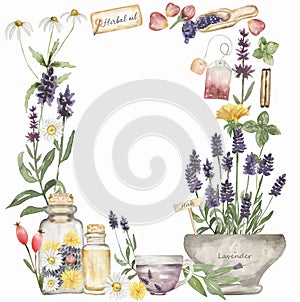 Hand drawn watercolor herbal elements illustration: herbs lavender, lemon, mint, tea leaves, roses petal, daisy, dandelion frame.