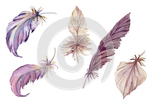 Hand drawn watercolor illustration bird feather plume quill boho tribal ethnic indian. Set of objects isolated on white