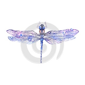 Hand drawn watercolor illustration of blue dragonfly isolated on white background.