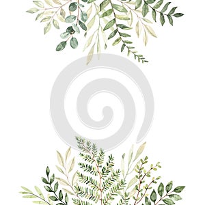 Hand drawn watercolor illustration. Botanical frame with eucalyptus, branches, fern and leaves. Greenery. Floral Design elements.