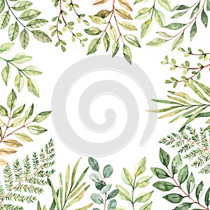 Hand drawn watercolor illustration. Botanical frame with eucalyptus, branches, fern and leaves. Greenery. Floral Design elements.