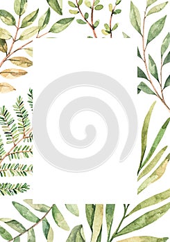 Hand drawn watercolor illustration. Botanical frame with eucalyptus, branches, fern and leaves. Greenery. Floral Design elements.