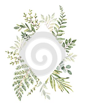Hand drawn watercolor illustration. Botanical frame with eucalyptus, branches, fern and leaves. Greenery. Floral Design elements.