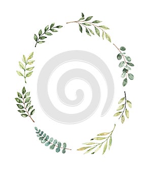 Hand drawn watercolor illustration. Botanical greenery wreath with branches and leaves. Eucalyptus. Floral Design elements.