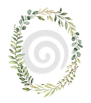 Hand drawn watercolor illustration. Botanical greenery wreath with branches and leaves. Eucalyptus. Floral Design elements.
