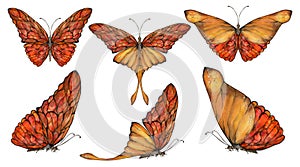 Hand drawn watercolor illustration butterfly fairy wings gem crystal insect moth. Amber garnet sunstone agate ruby. Set