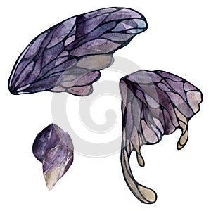 Hand drawn watercolor illustration butterfly fairy wings gem crystal insect moth. Amethyst charoite fluorite ametrine