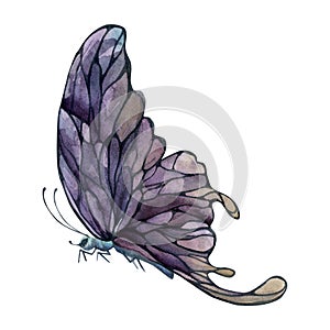 Hand drawn watercolor illustration butterfly fairy wings gem crystal insect moth. Amethyst charoite fluorite ametrine