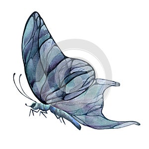 Hand drawn watercolor illustration butterfly fairy wings gem crystal insect moth. Amethyst charoite fluorite ametrine