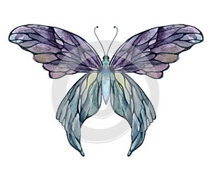 Hand drawn watercolor illustration butterfly fairy wings gem crystal insect moth. Amethyst opal moonstone fluorite pearl