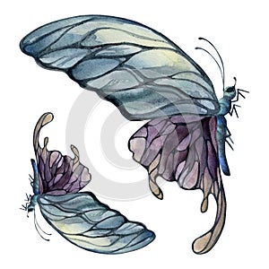 Hand drawn watercolor illustration butterfly fairy wings gem crystal insect moth. Amethyst opal moonstone fluorite pearl