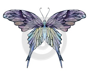 Hand drawn watercolor illustration butterfly fairy wings gem crystal insect moth. Amethyst opal moonstone fluorite pearl