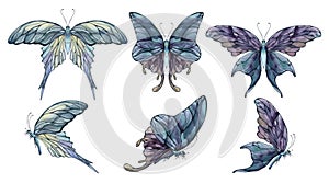 Hand drawn watercolor illustration butterfly fairy wings gem crystal insect moth. Amethyst opal moonstone fluorite. Set