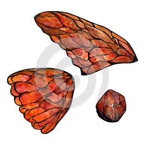 Hand drawn watercolor illustration butterfly fairy wings gem crystal insect moth. Garnet ruby sunstone agate fire opal