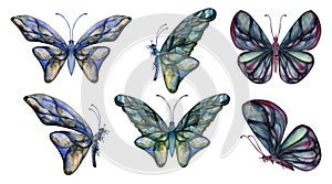 Hand drawn watercolor illustration butterfly fairy wings gem crystal insect moth. Sapphire emerald labradorite