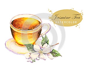 Cup of the jasmine tea and jasmine branch isolated on the white background.