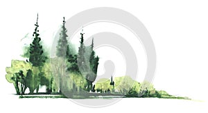 Hand drawn watercolor illustration. group of deciduous coniferous trees. Decorative element. Low green bushes and tall cypress