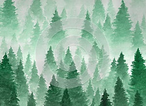 Hand drawn watercolor illustration. Landscape of cloudy, mystic , coniferous forest on ye mountaind.