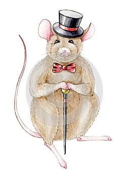 Hand drawn watercolor illustration of a mouse rat in a hat with a cane in the hand. Funny mouse isolated on white background.