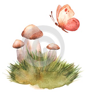 Hand drawn watercolor illustration of porcini cep edible boletus mushroom in grass with butterfly. Forest wood woodland esign.