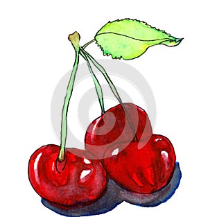 Hand drawn watercolor illustration red cherries on white background.