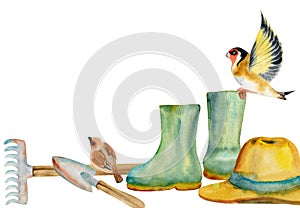 Hand drawn watercolor illustration spring gardening tools shovel rake, rubber boots, straw hat, birds goldfinch sparrow