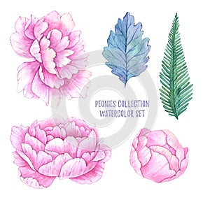 Hand drawn watercolor illustrations. Spring leaves and peonies f