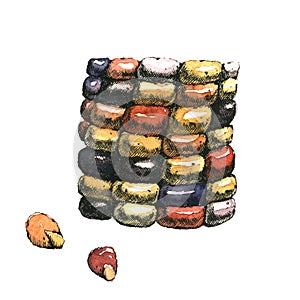 Hand-drawn watercolor image of a piece of corncob.