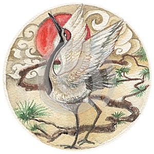 Hand drawn watercolor Japanese Red-crowned Crane or The Kushiro tattoo ,