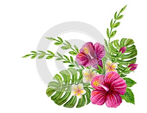 Hand drawn watercolor painting with pink Chinese Hibiscus rose, plumeria flowers, monstera palm leaf and palm fronds  isolated photo