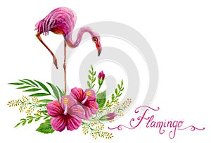 Hand drawn watercolor painting  with pink flamingo and Chinese Hibiscus rose flowers isolated on white background