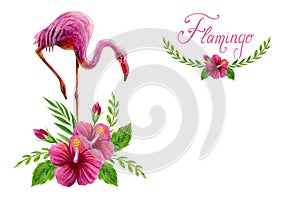 Hand drawn watercolor painting  with pink flamingo and Chinese Hibiscus rose flowers isolated on white background