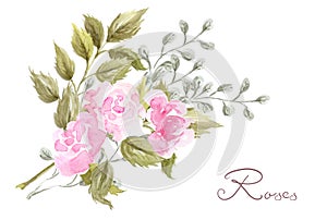 Hand drawn watercolor painting  with pink roses flowers bouquet isolated on white background. Floral ornament. Design element