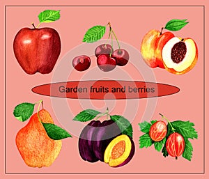 Hand drawn watercolor painting set of summer garden fruits and berries.On pink background.