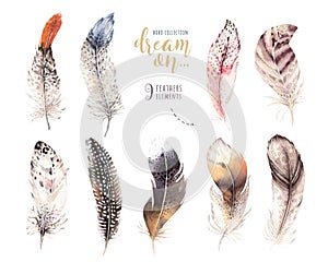 Hand drawn watercolor paintings vibrant feather set.