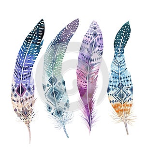 Hand drawn watercolor paintings vibrant feather set. Boho style