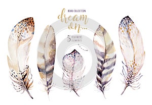 Hand drawn watercolor paintings vibrant feather set. Boho style rose wings. illustration feathers isolated on white